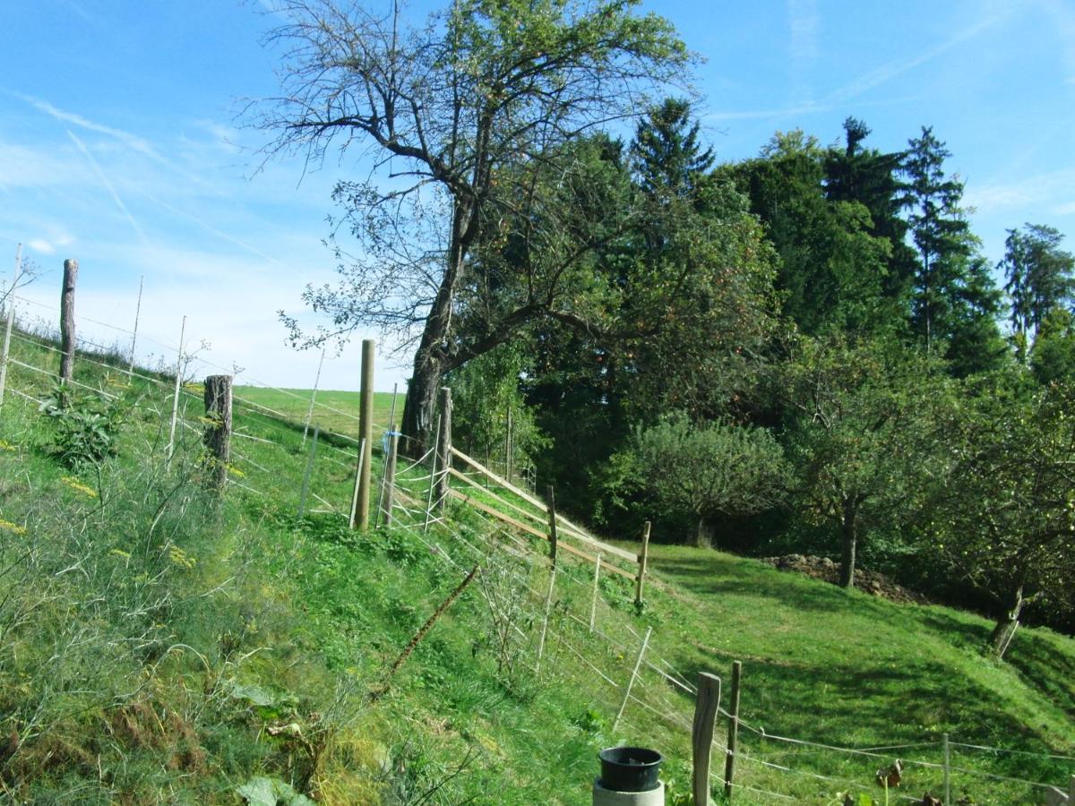 Ferienhaus Grabenhansl Stubenberg Exterior foto