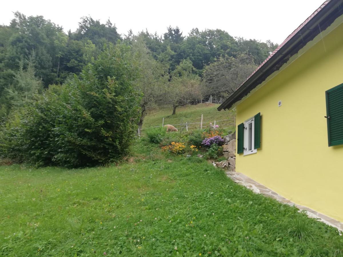 Ferienhaus Grabenhansl Stubenberg Exterior foto
