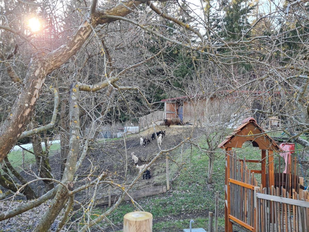 Ferienhaus Grabenhansl Stubenberg Exterior foto