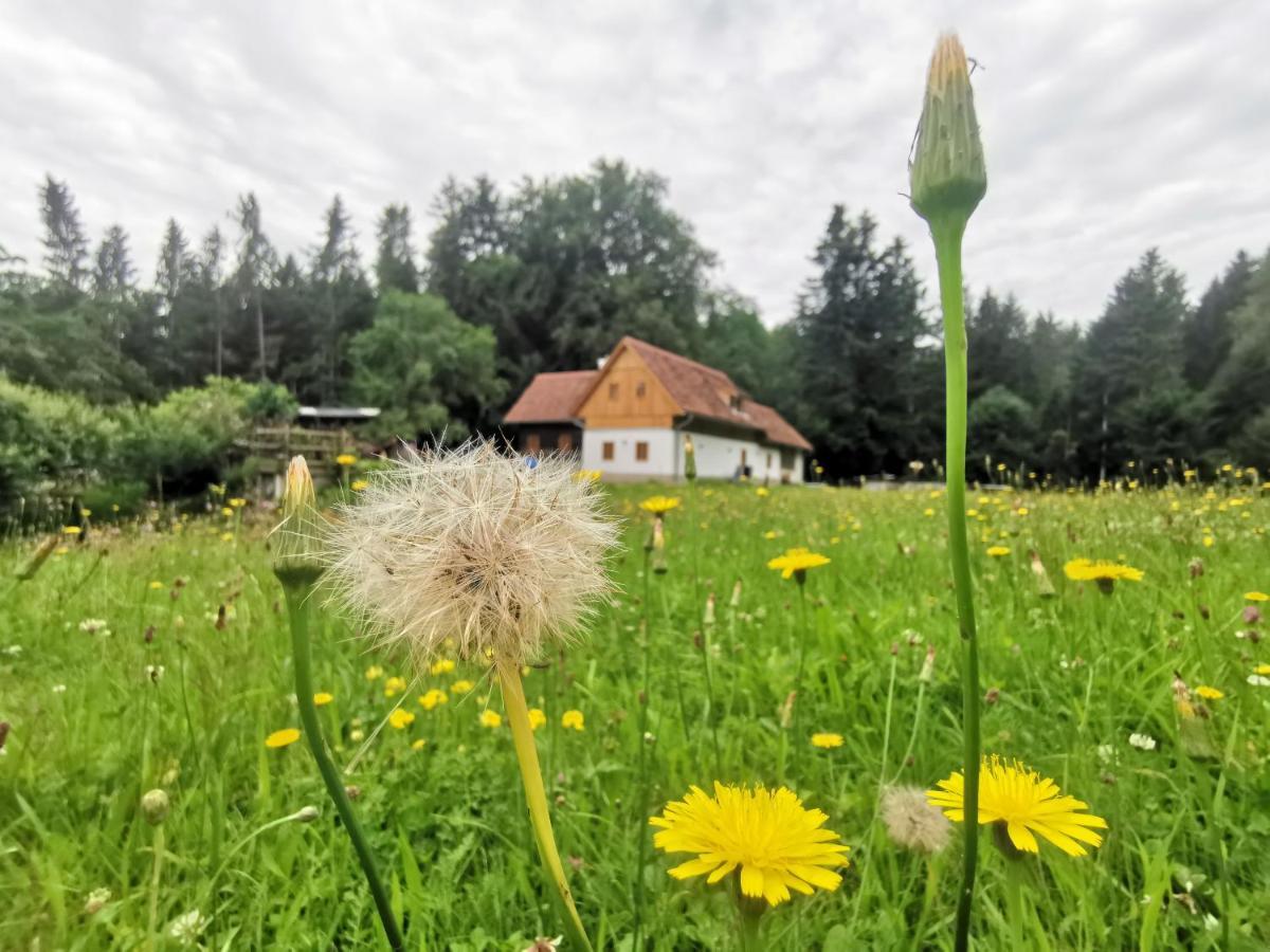 Ferienhaus Grabenhansl Stubenberg Exterior foto