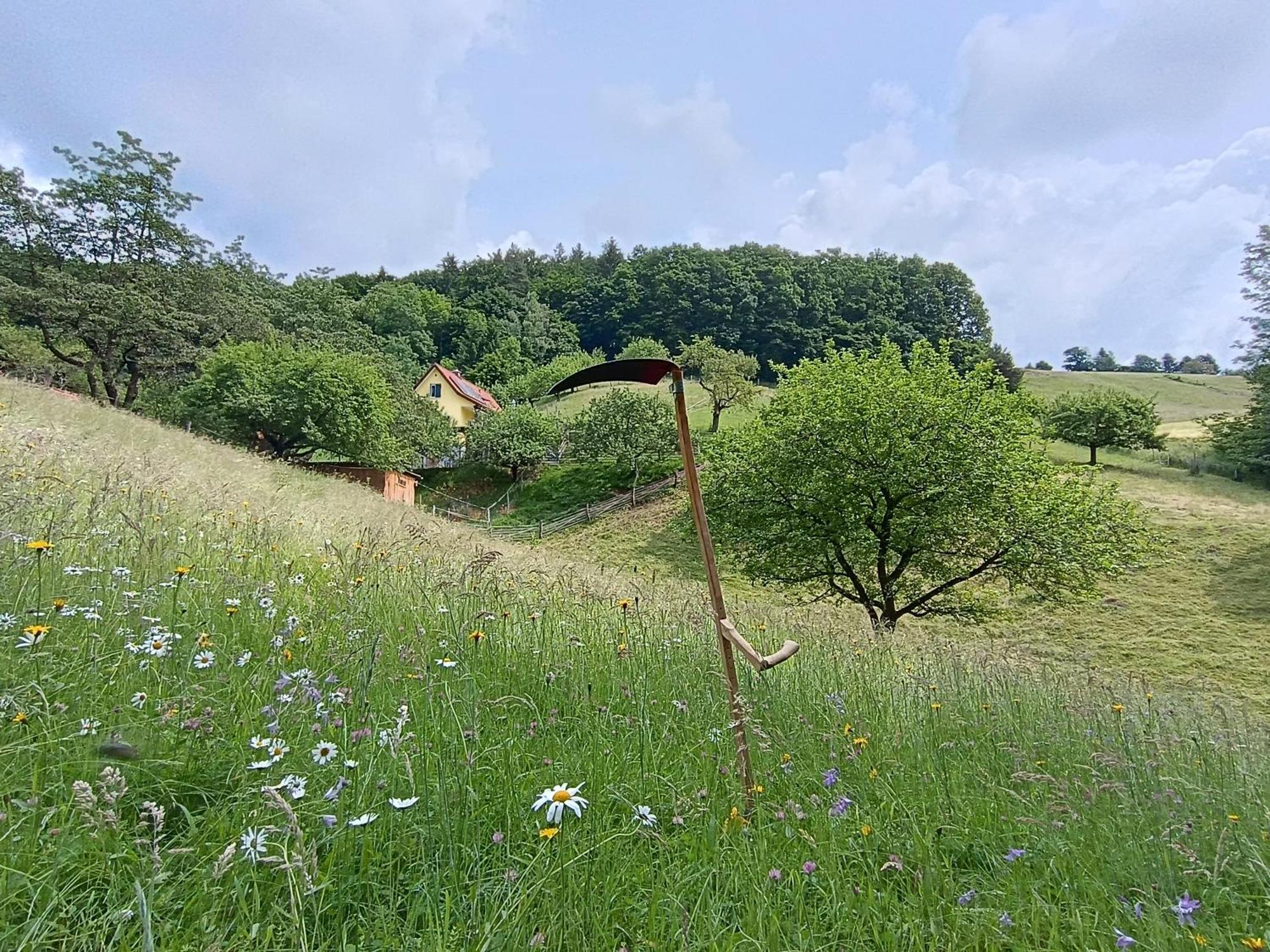 Ferienhaus Grabenhansl Stubenberg Exterior foto