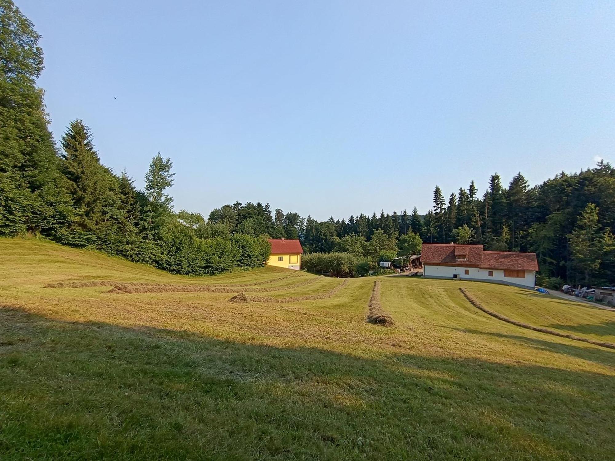 Ferienhaus Grabenhansl Stubenberg Exterior foto